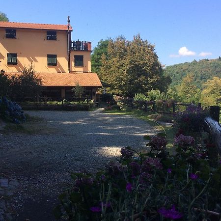 Agriturismo La Taverna Del Nonno 보르조나사 외부 사진